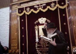 המציאות מחייבת: למחות כל זכר